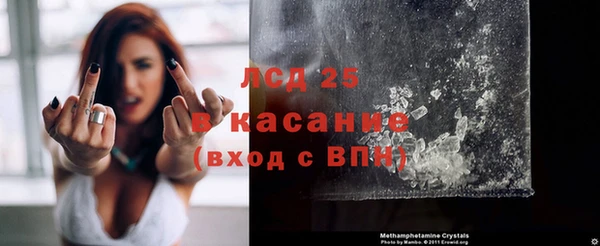 PSILOCYBIN Карталы