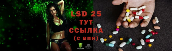 ECSTASY Карпинск